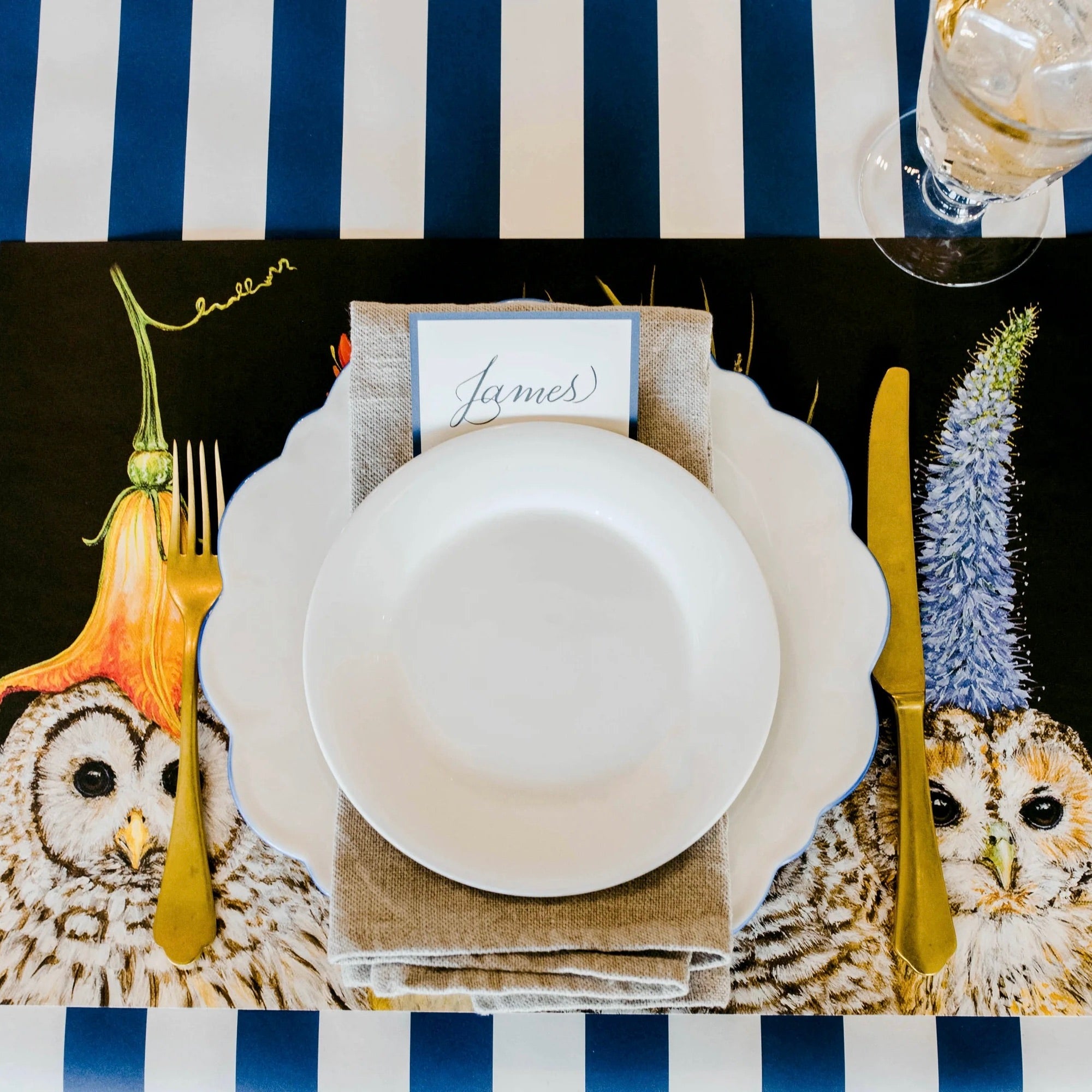 Baby Owls Placemat